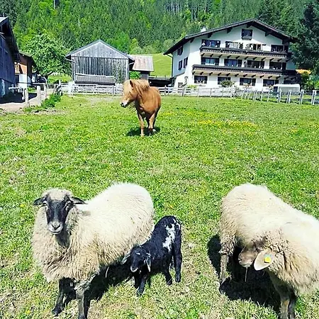 Hettlerhof Hotel Maishofen