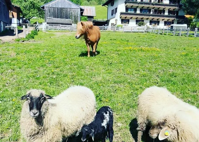 Hotel Hettlerhof